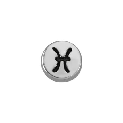 Pisces Power Locket Charm