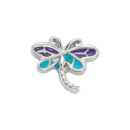 Butterfly Bliss Locket Charm